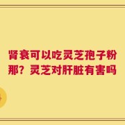 肾衰可以吃灵芝孢子粉那？灵芝对肝脏有害吗