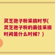灵芝孢子粉采摘时节(灵芝孢子粉的最佳采摘时间是什么时候？)