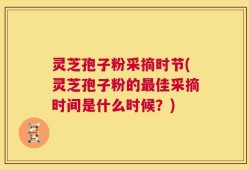灵芝孢子粉采摘时节(灵芝孢子粉的最佳采摘时间是什么时候？)