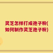 灵芝怎样打成孢子粉(如何制作灵芝孢子粉)