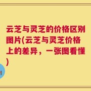 云芝与灵芝的价格区别图片(云芝与灵芝价格上的差异，一张图看懂)