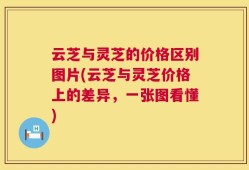 云芝与灵芝的价格区别图片(云芝与灵芝价格上的差异，一张图看懂)