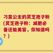 刁蛮公主的灵芝孢子粉(灵芝孢子粉：减肥必备还能美容，你知道吗？)