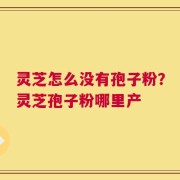 灵芝怎么没有孢子粉？灵芝孢子粉哪里产