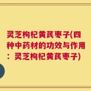 灵芝枸杞黄芪枣子(四种中药材的功效与作用：灵芝枸杞黄芪枣子)