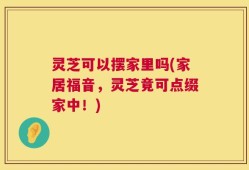 灵芝可以摆家里吗(家居福音，灵芝竟可点缀家中！)