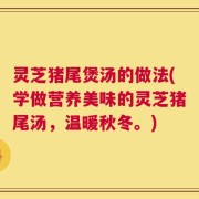 灵芝猪尾煲汤的做法(学做营养美味的灵芝猪尾汤，温暖秋冬。)