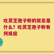 吃灵芝孢子粉的禁忌是什么？吃灵芝孢子粉有何反应