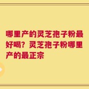 哪里产的灵芝孢子粉最好喝？灵芝孢子粉哪里产的最正宗