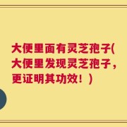 大便里面有灵芝孢子(大便里发现灵芝孢子，更证明其功效！)