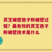 灵芝破壁孢子粉破壁过程？最有效的灵芝孢子粉破壁技术是什么