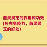 菌灵灵芝的作用和功效(补充免疫力，菌灵灵芝的好处)