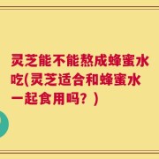 灵芝能不能熬成蜂蜜水吃(灵芝适合和蜂蜜水一起食用吗？)