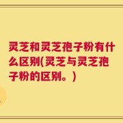 灵芝和灵芝孢子粉有什么区别(灵芝与灵芝孢子粉的区别。)