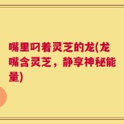 嘴里叼着灵芝的龙(龙嘴含灵芝，静享神秘能量)