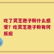 吃了灵芝孢子粉什么感受？吃灵芝孢子粉有何反应