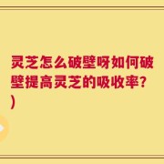 灵芝怎么破壁呀如何破壁提高灵芝的吸收率？)