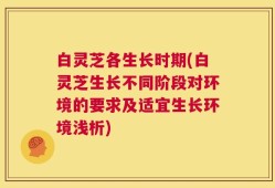 白灵芝各生长时期(白灵芝生长不同阶段对环境的要求及适宜生长环境浅析)