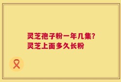 灵芝孢子粉一年几集？灵芝上面多久长粉