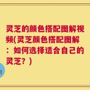 灵芝的颜色搭配图解视频(灵芝颜色搭配图解：如何选择适合自己的灵芝？)