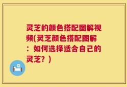 灵芝的颜色搭配图解视频(灵芝颜色搭配图解：如何选择适合自己的灵芝？)