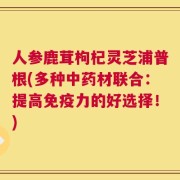 人参鹿茸枸杞灵芝浦普根(多种中药材联合：提高免疫力的好选择！)