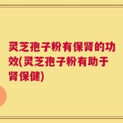 灵芝孢子粉有保肾的功效(灵芝孢子粉有助于肾保健)