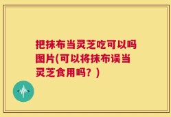 把抹布当灵芝吃可以吗图片(可以将抹布误当灵芝食用吗？)