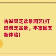 古诚灵芝盆景园艺(打造灵芝盆景，丰富园艺新体验)