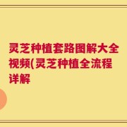 灵芝种植套路图解大全视频(灵芝种植全流程详解