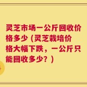 灵芝市场一公斤回收价格多少 (灵芝栽培价格大幅下跌，一公斤只能回收多少？)