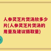 人参灵芝片煲汤放多少片(人参灵芝片煲汤的用量及建议摄取量)