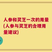 人参和灵芝一次的用量(人参与灵芝的合理用量建议)