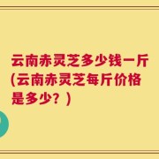 云南赤灵芝多少钱一斤(云南赤灵芝每斤价格是多少？)