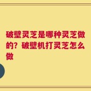 破壁灵芝是哪种灵芝做的？破壁机打灵芝怎么做