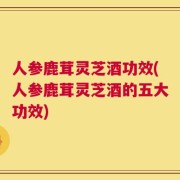 人参鹿茸灵芝酒功效(人参鹿茸灵芝酒的五大功效)