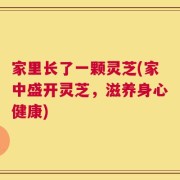 家里长了一颗灵芝(家中盛开灵芝，滋养身心健康)