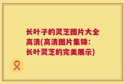 长叶子的灵芝图片大全高清(高清图片集锦：长叶灵芝的完美展示)