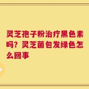灵芝孢子粉治疗黑色素吗？灵芝菌包发绿色怎么回事