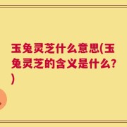 玉兔灵芝什么意思(玉兔灵芝的含义是什么？)