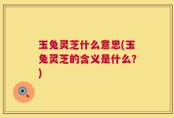玉兔灵芝什么意思(玉兔灵芝的含义是什么？)