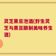 灵芝黑豆泡酒(野生灵芝与黑豆酿制美味养生酒)