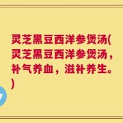 灵芝黑豆西洋参煲汤(灵芝黑豆西洋参煲汤，补气养血，滋补养生。)