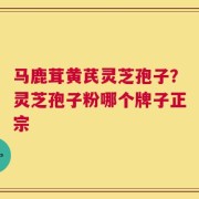 马鹿茸黄芪灵芝孢子？灵芝孢子粉哪个牌子正宗
