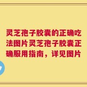 灵芝孢子胶囊的正确吃法图片灵芝孢子胶囊正确服用指南，详见图片