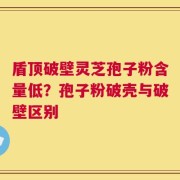 盾顶破壁灵芝孢子粉含量低？孢子粉破壳与破壁区别