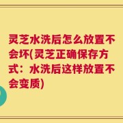 灵芝水洗后怎么放置不会坏(灵芝正确保存方式：水洗后这样放置不会变质)