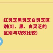 红灵芝黑灵芝白灵芝区别(红、黑、白灵芝的区别与功效比较)