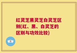 红灵芝黑灵芝白灵芝区别(红、黑、白灵芝的区别与功效比较)