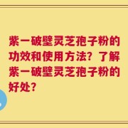 紫一破壁灵芝孢子粉的功效和使用方法？了解紫一破壁灵芝孢子粉的好处？